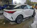 2024 LEXUS RX 350