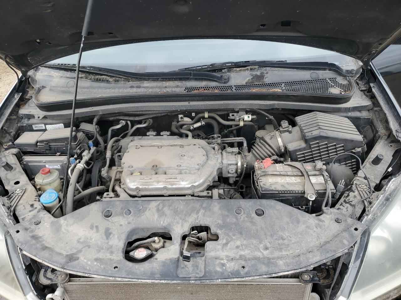 2010 HONDA ODYSSEY