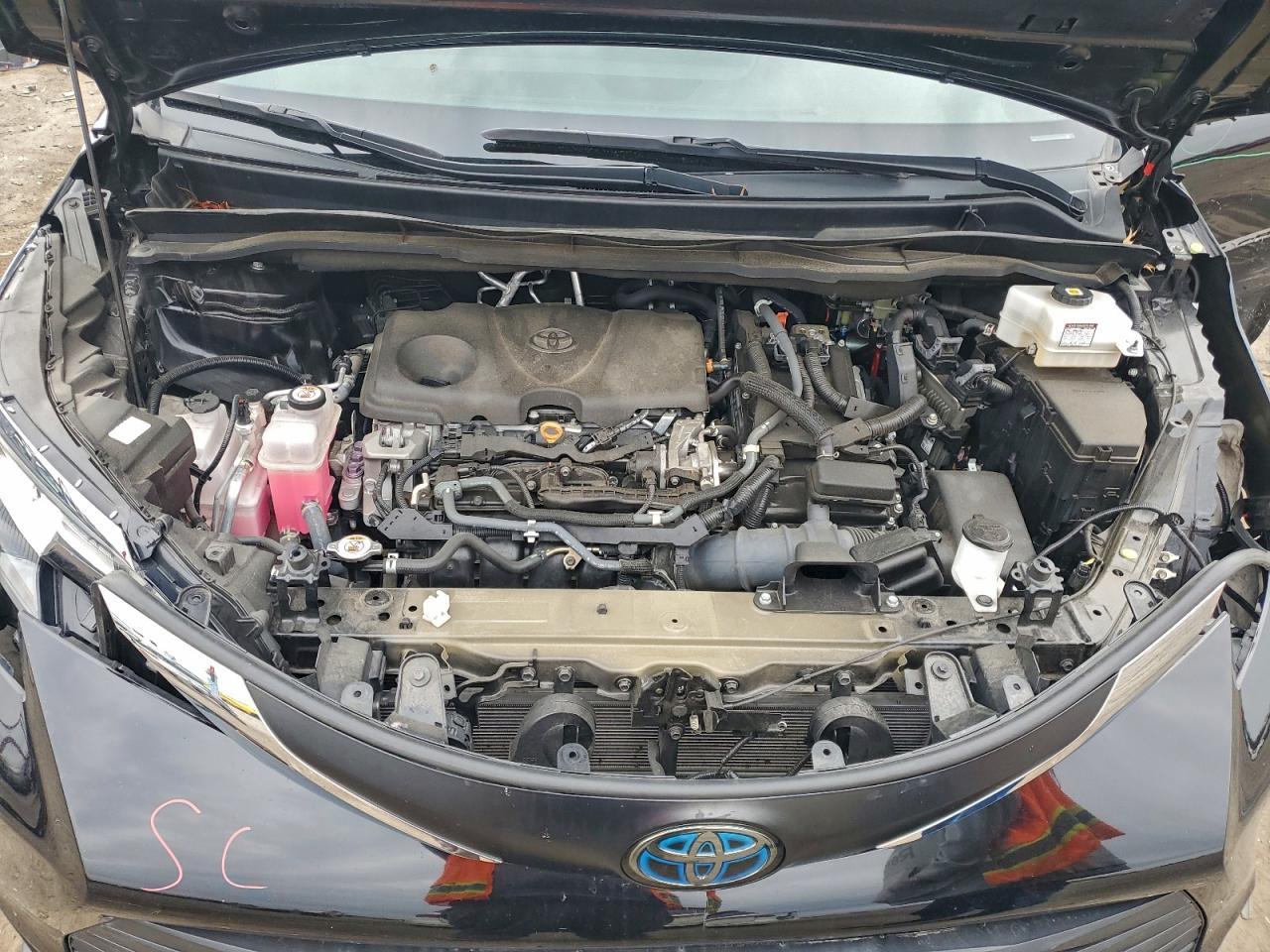 2021 TOYOTA SIENNA