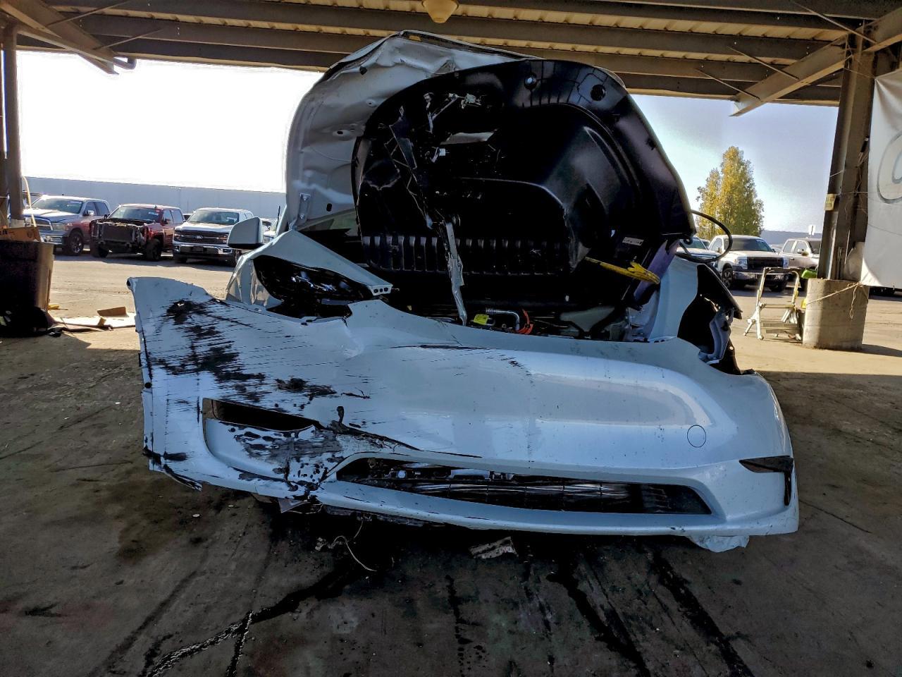 2025 TESLA MODEL Y