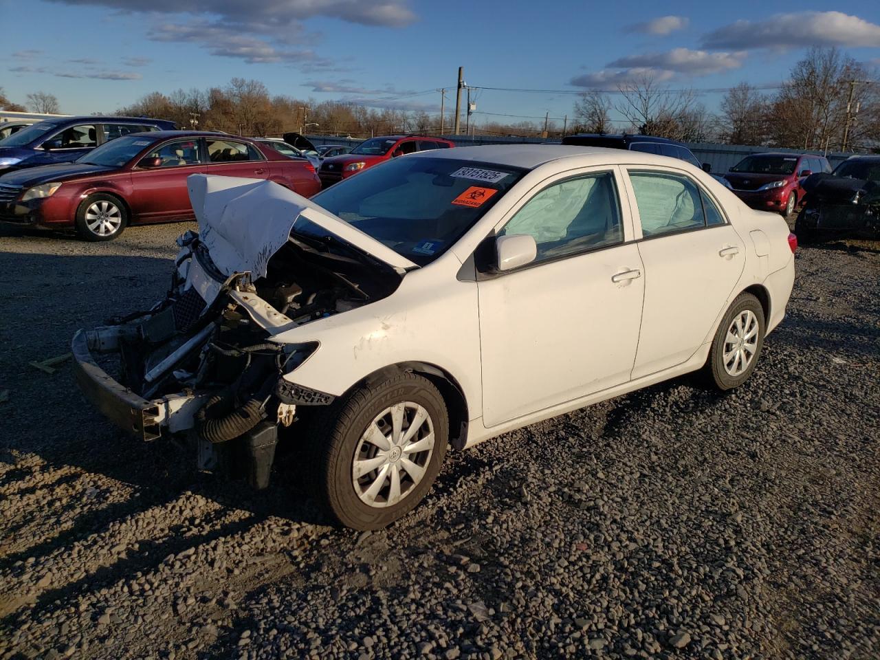 2010 TOYOTA COROLLA