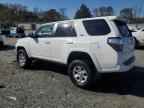 2022 TOYOTA 4Runner