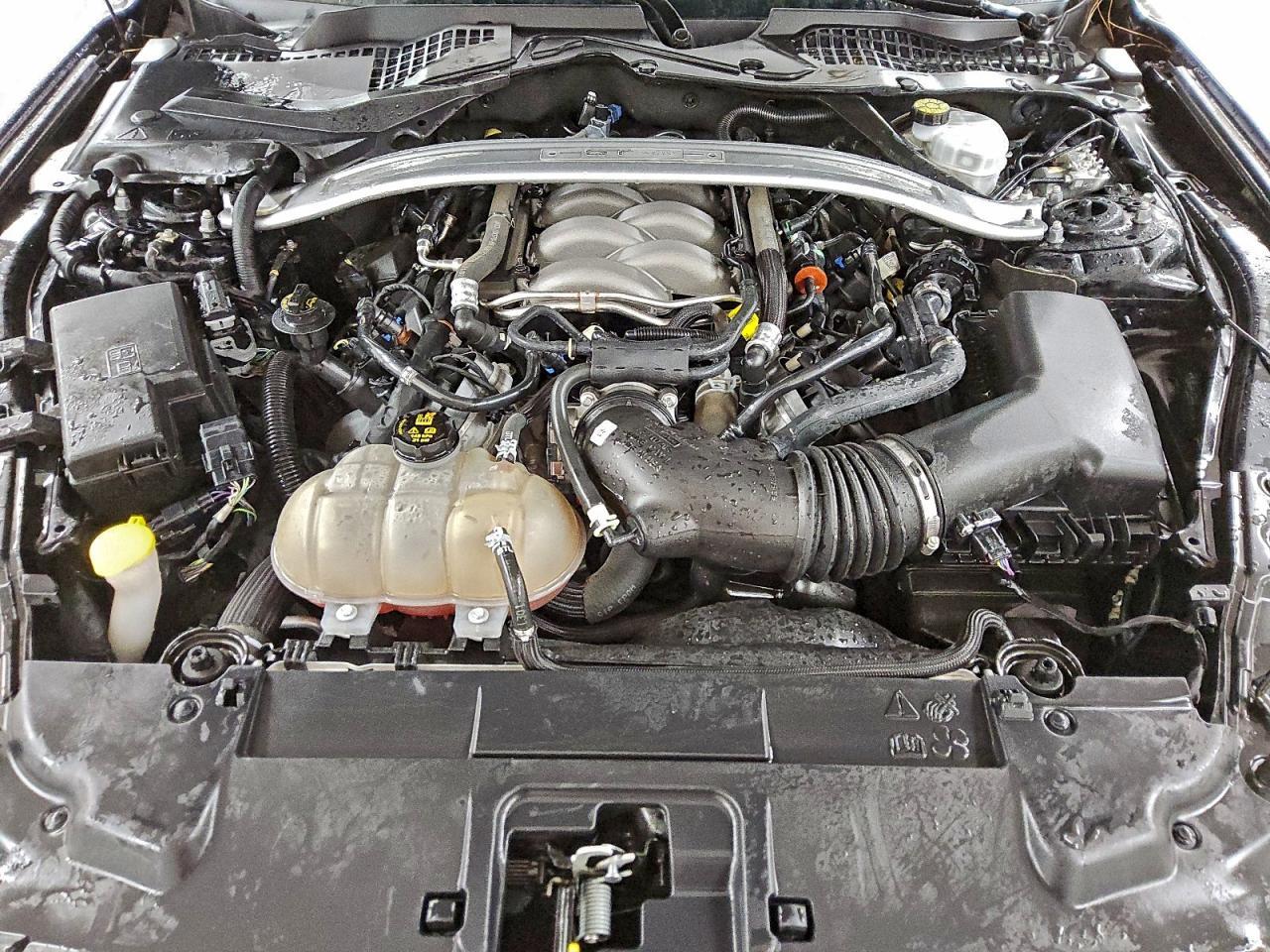 2019 FORD MUSTANG