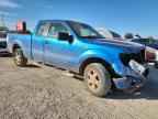 2009 FORD F-150