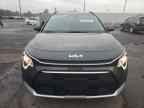 2024 KIA Niro
