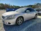 2014 NISSAN Maxima