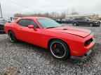 2013 DODGE Challenger