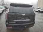 2025 CADILLAC Escalade ESV