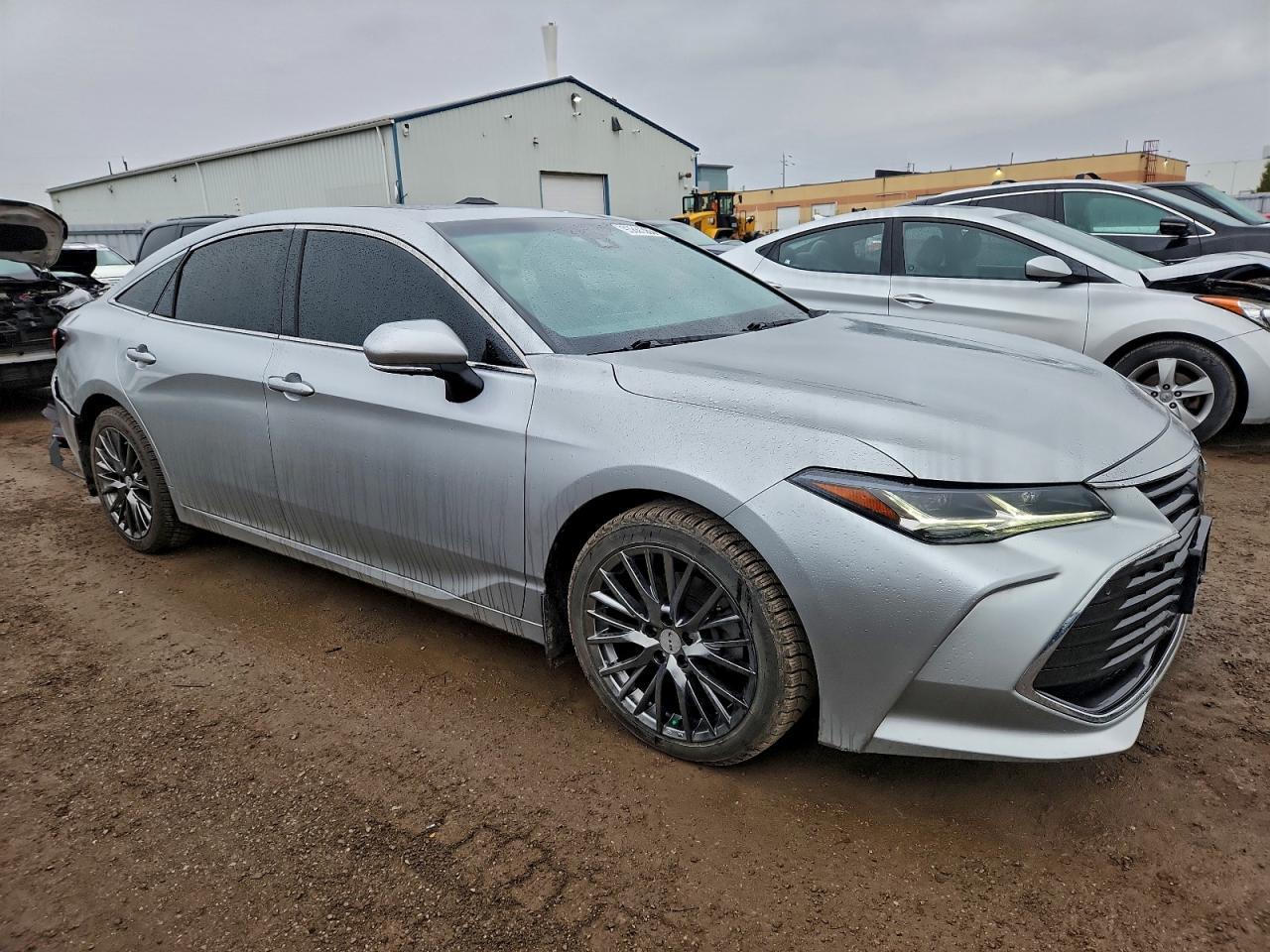 2019 TOYOTA Avalon