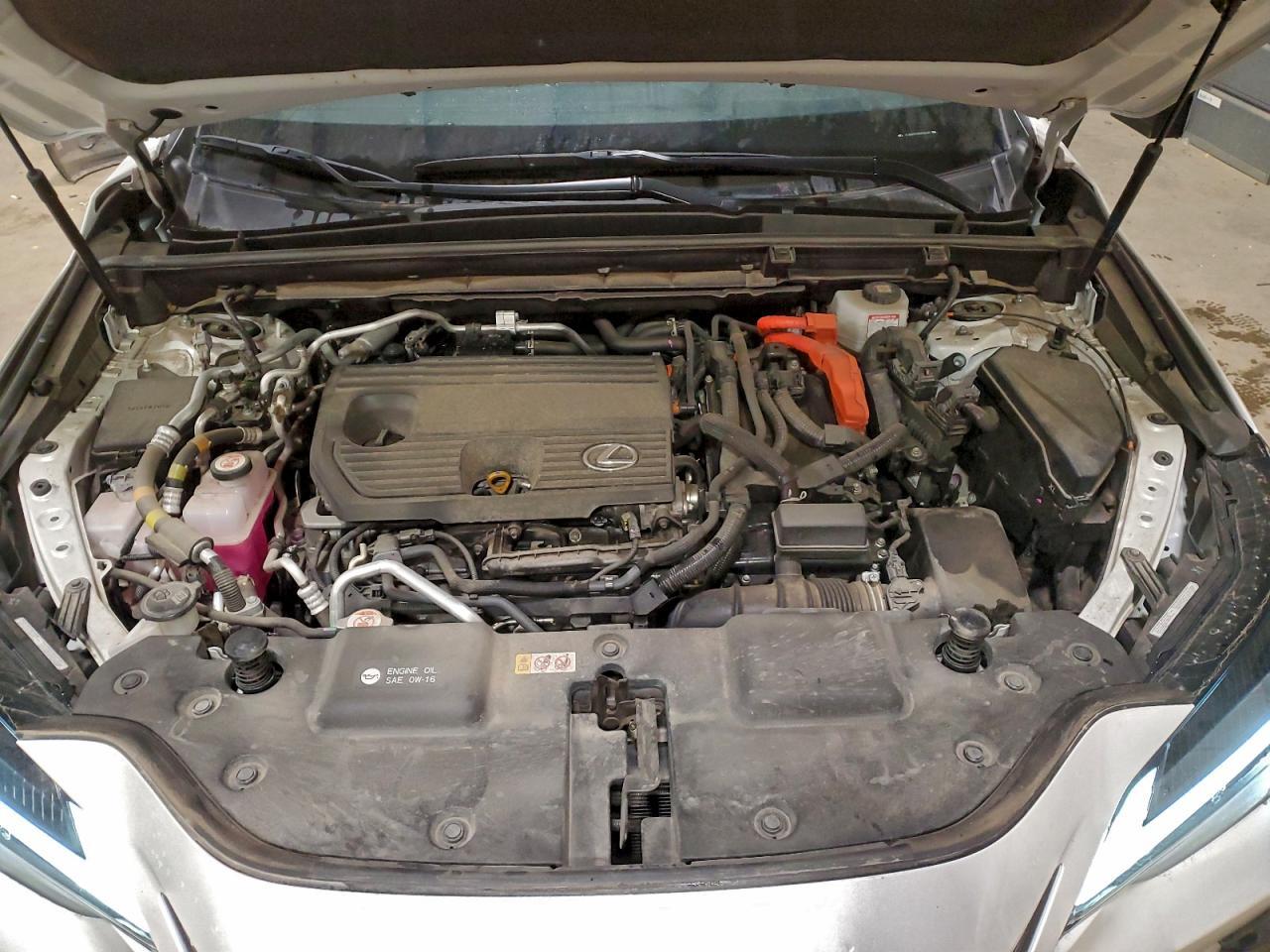 2024 LEXUS Nx