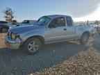 2000 TOYOTA TACOMA