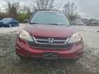 2010 HONDA CR-V