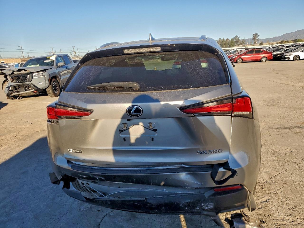 2019 LEXUS NX 300