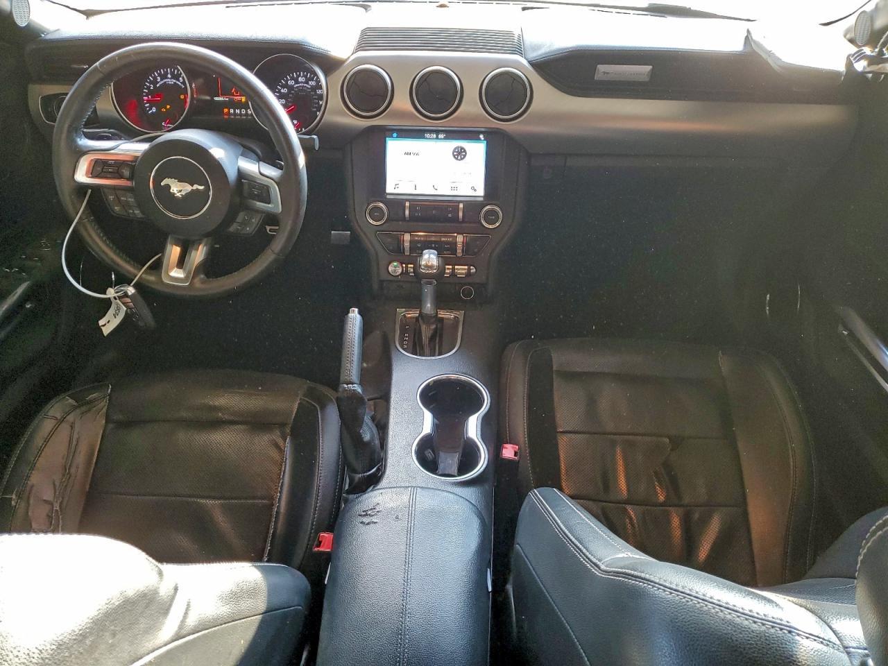 2019 FORD MUSTANG
