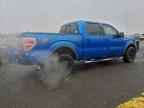 2009 FORD F-150