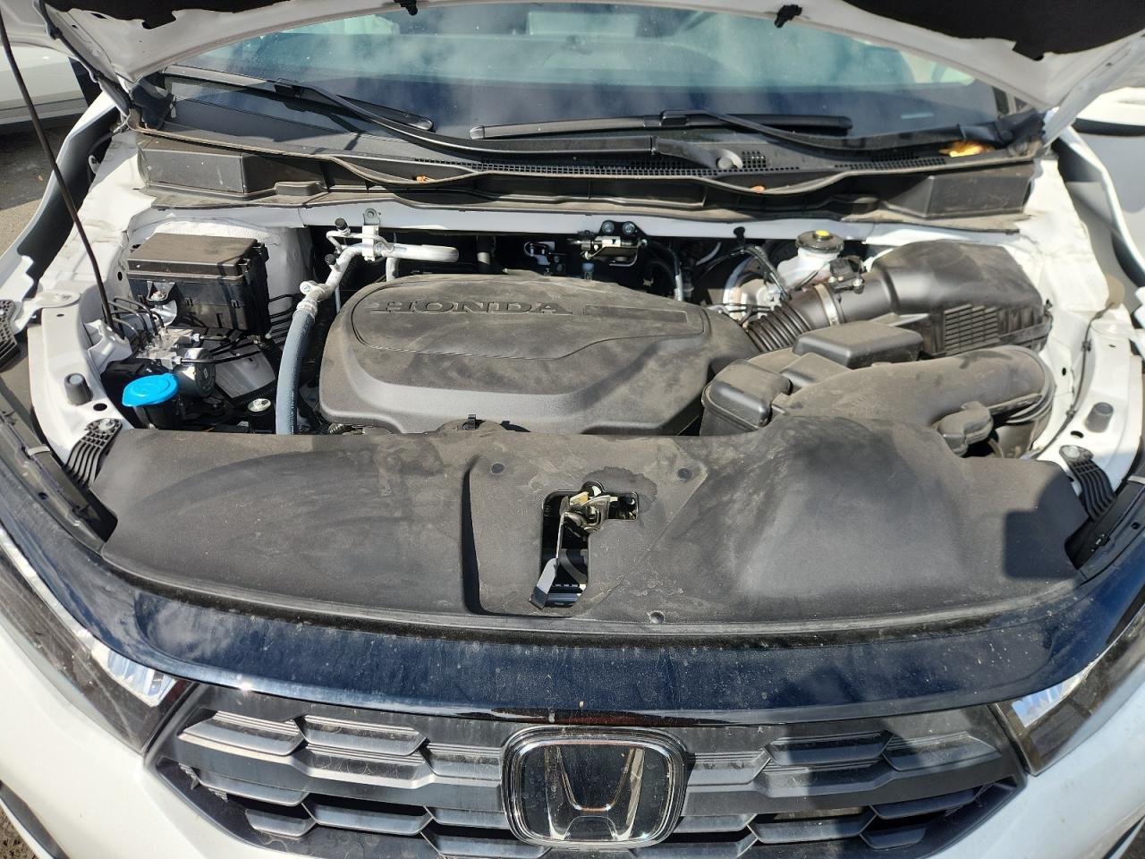 2025 HONDA ODYSSEY