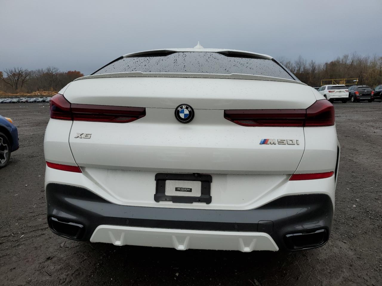 2021 BMW X6