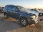 2009 FORD ESCAPE