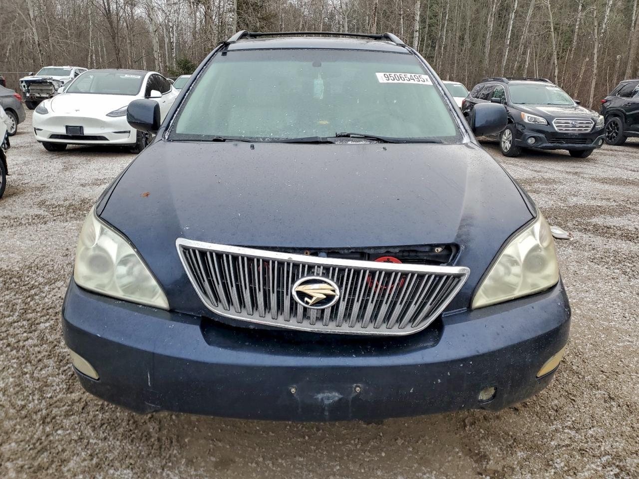 2004 LEXUS Rx 330