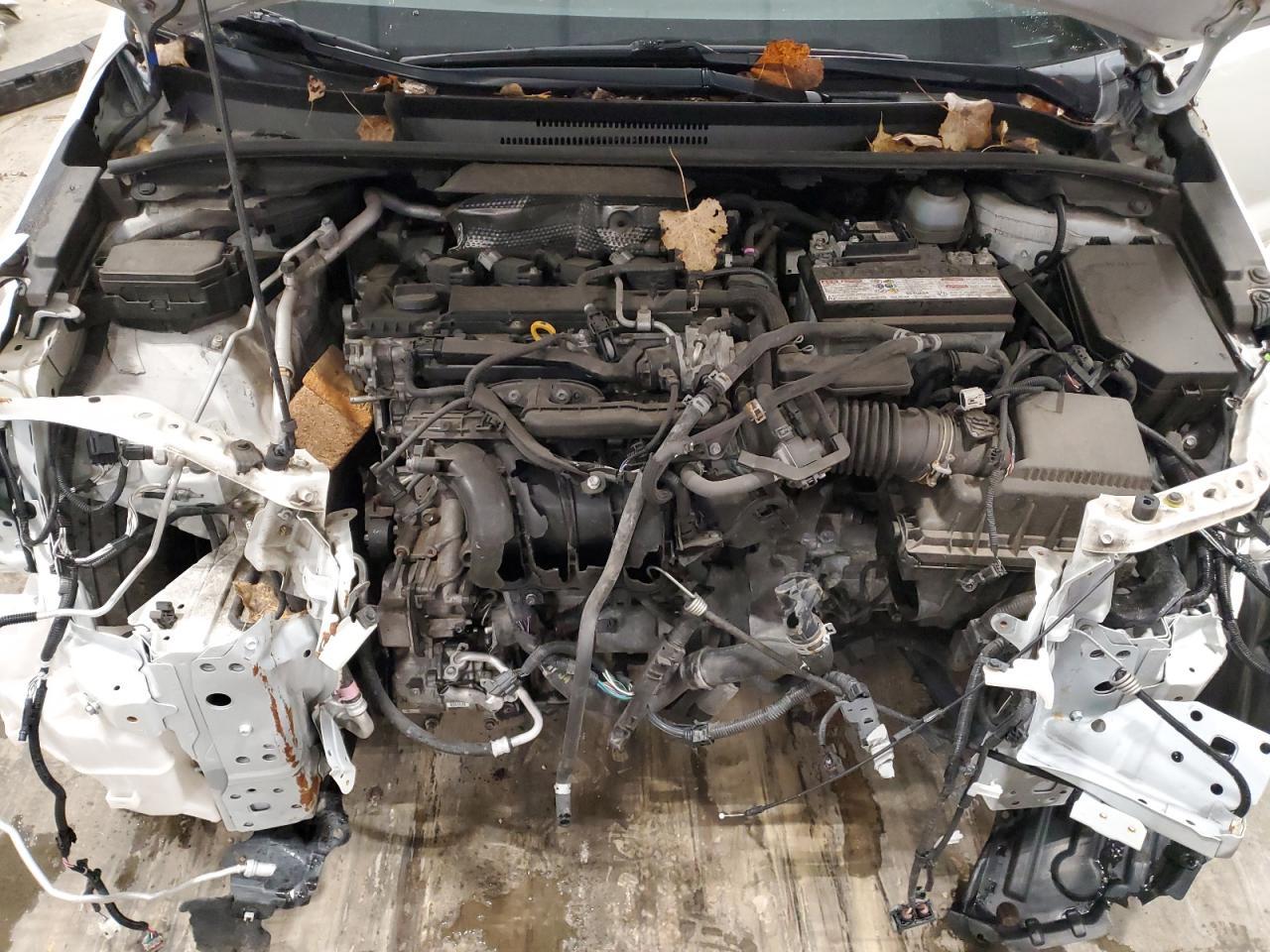 2019 TOYOTA COROLLA