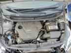 2013 KIA RIO