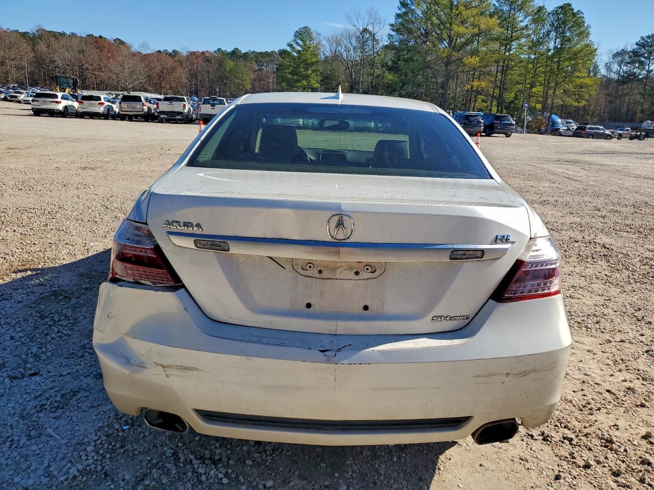 2010 ACURA RL