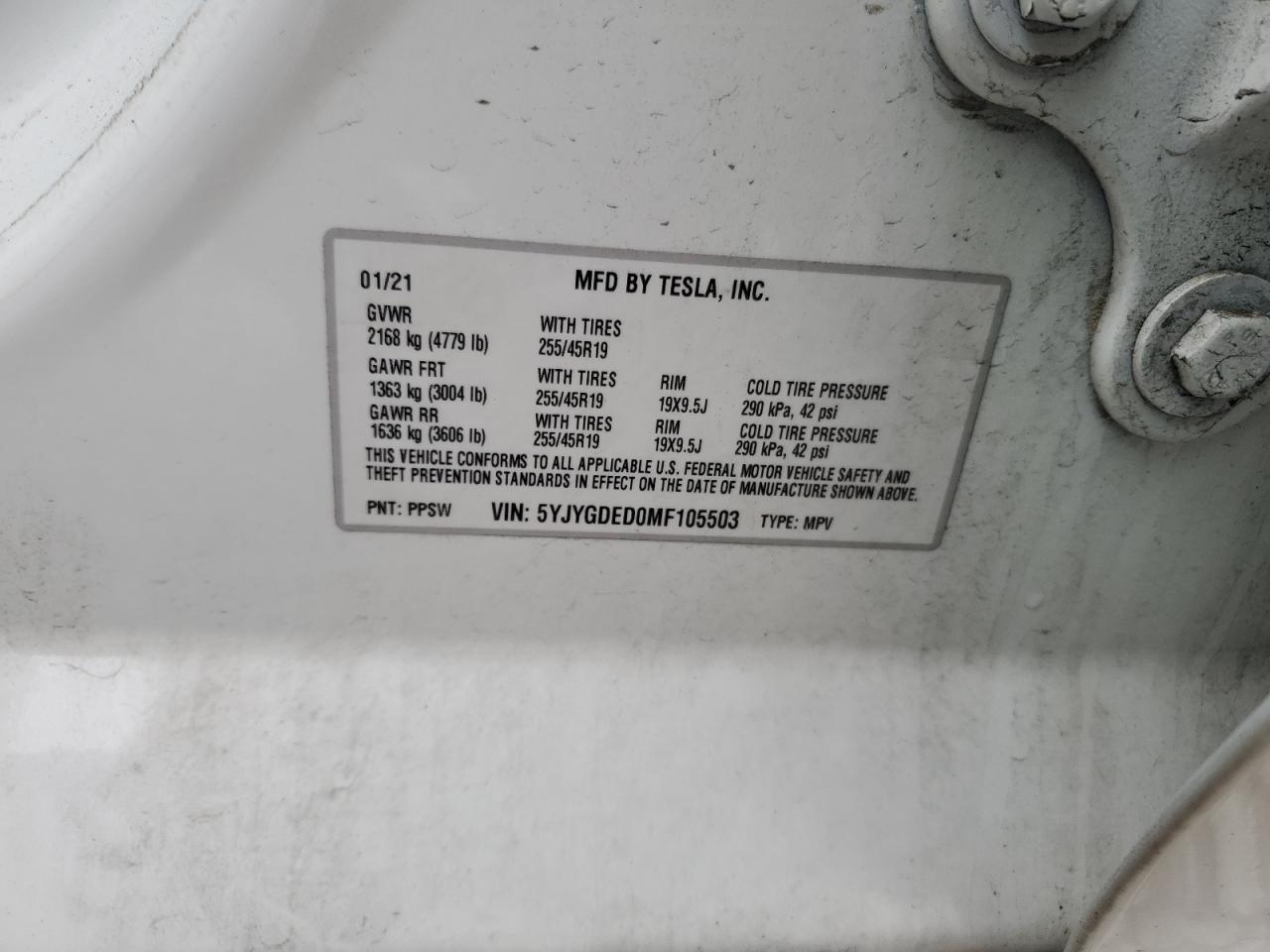 2021 TESLA MODEL Y