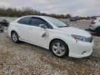 2011 LEXUS HS 250h