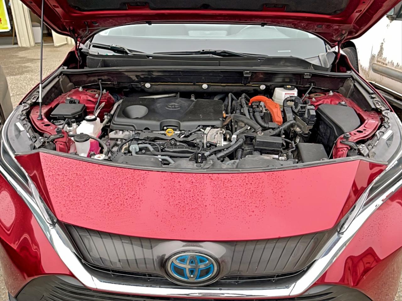 2021 TOYOTA VENZA