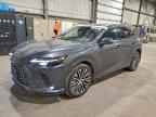2024 LEXUS RX 350