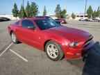 2013 FORD MUSTANG