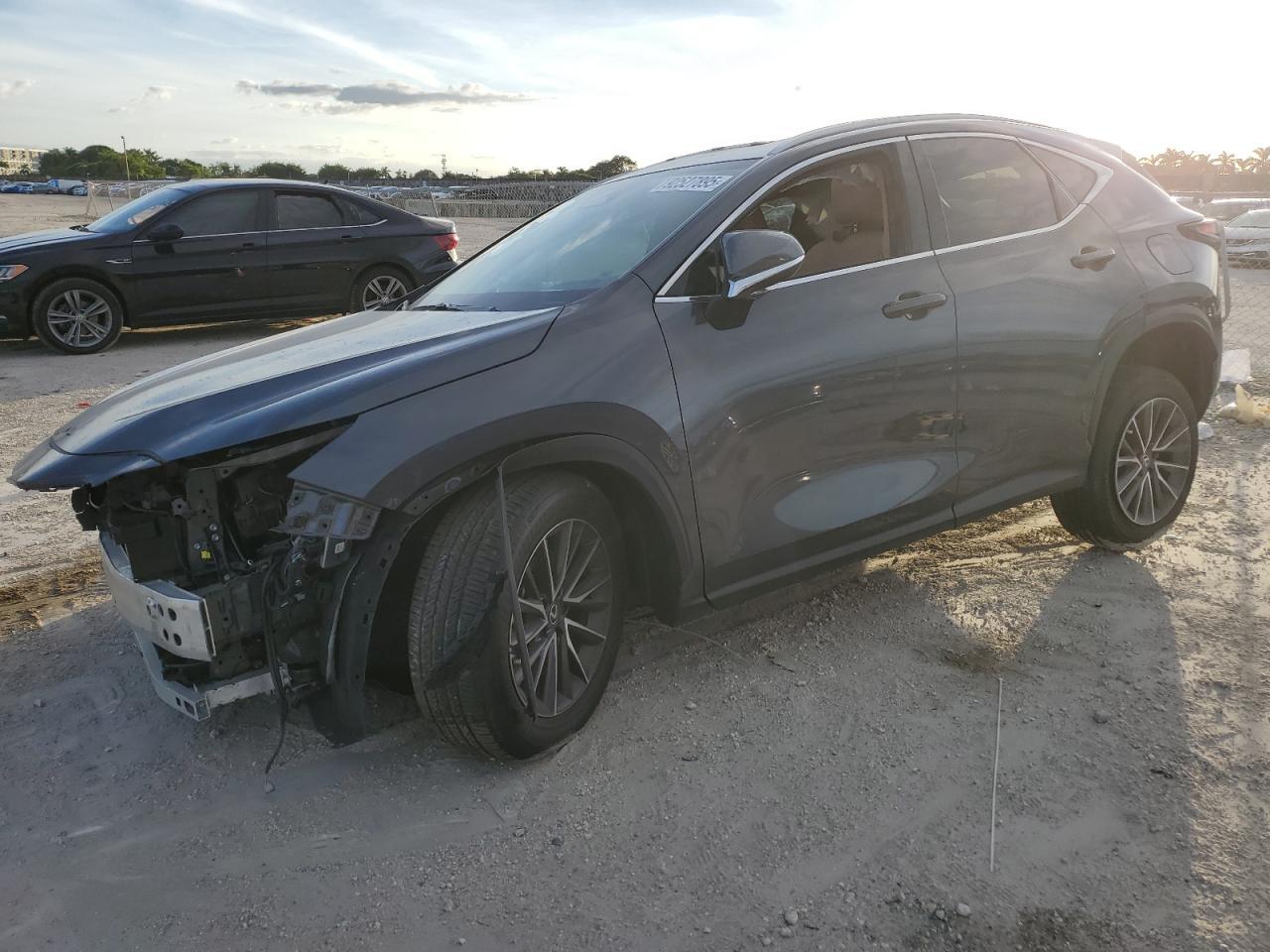 2025 LEXUS NX 250