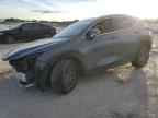 2025 LEXUS NX 250