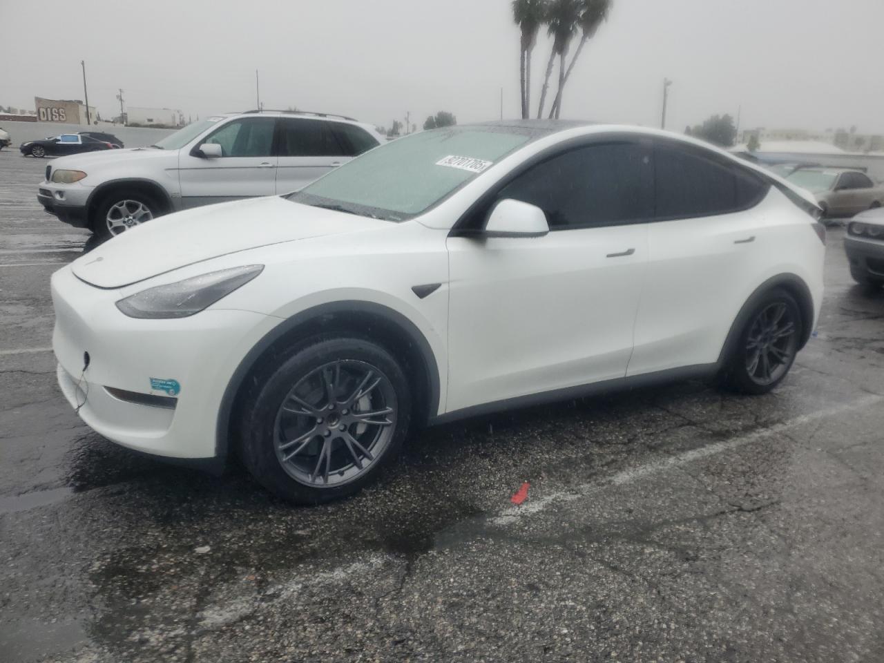 2025 TESLA MODEL Y
