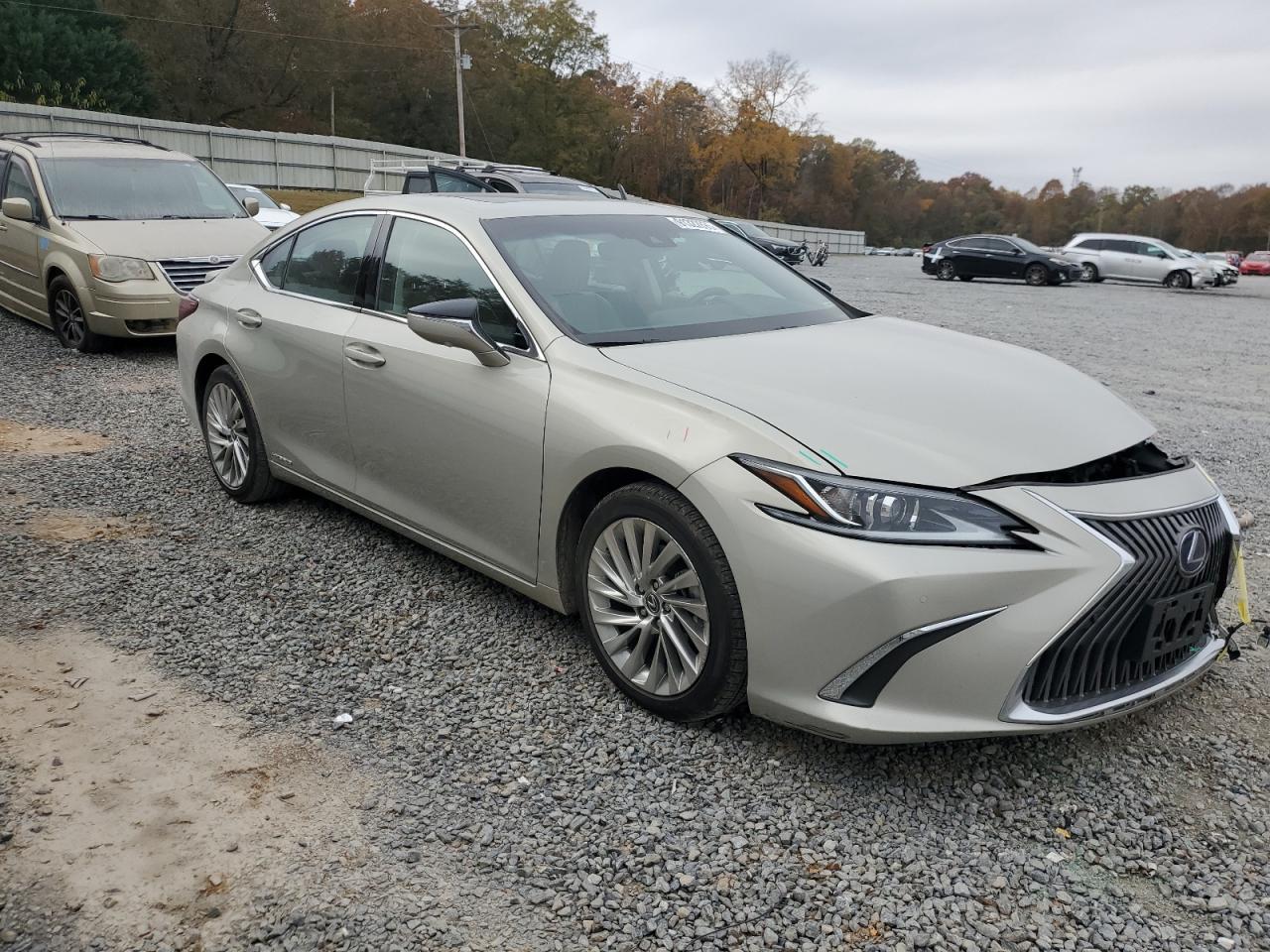 2019 LEXUS ES 300H