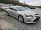 2019 LEXUS ES 300H