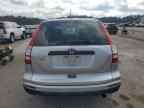 2010 HONDA CR-V