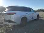 2025 LEXUS TX 500H
