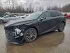 2024 LEXUS RX 350