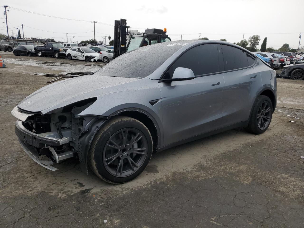 2025 TESLA MODEL Y