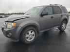 2009 FORD ESCAPE