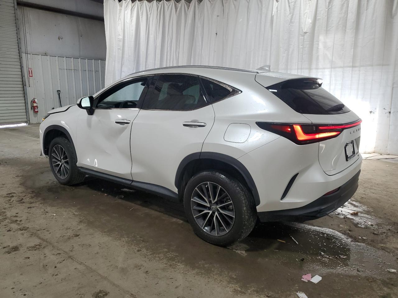 2024 LEXUS NX 350