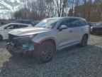 2025 LEXUS TX 350
