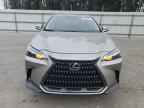 2025 LEXUS NX 250