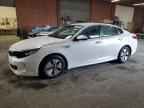 2017 KIA Optima Hybrid