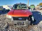2006 FORD ESCAPE