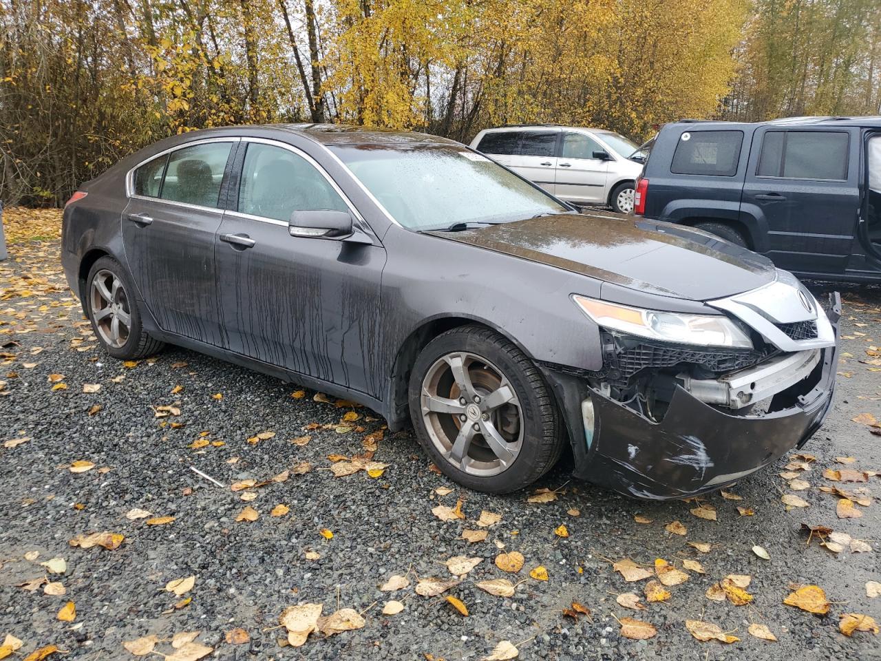 2011 ACURA TL