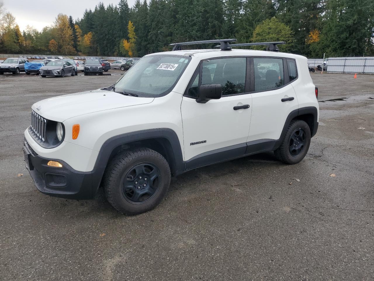 2017 JEEP Renegade