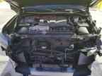 2024 TOYOTA Sequoia