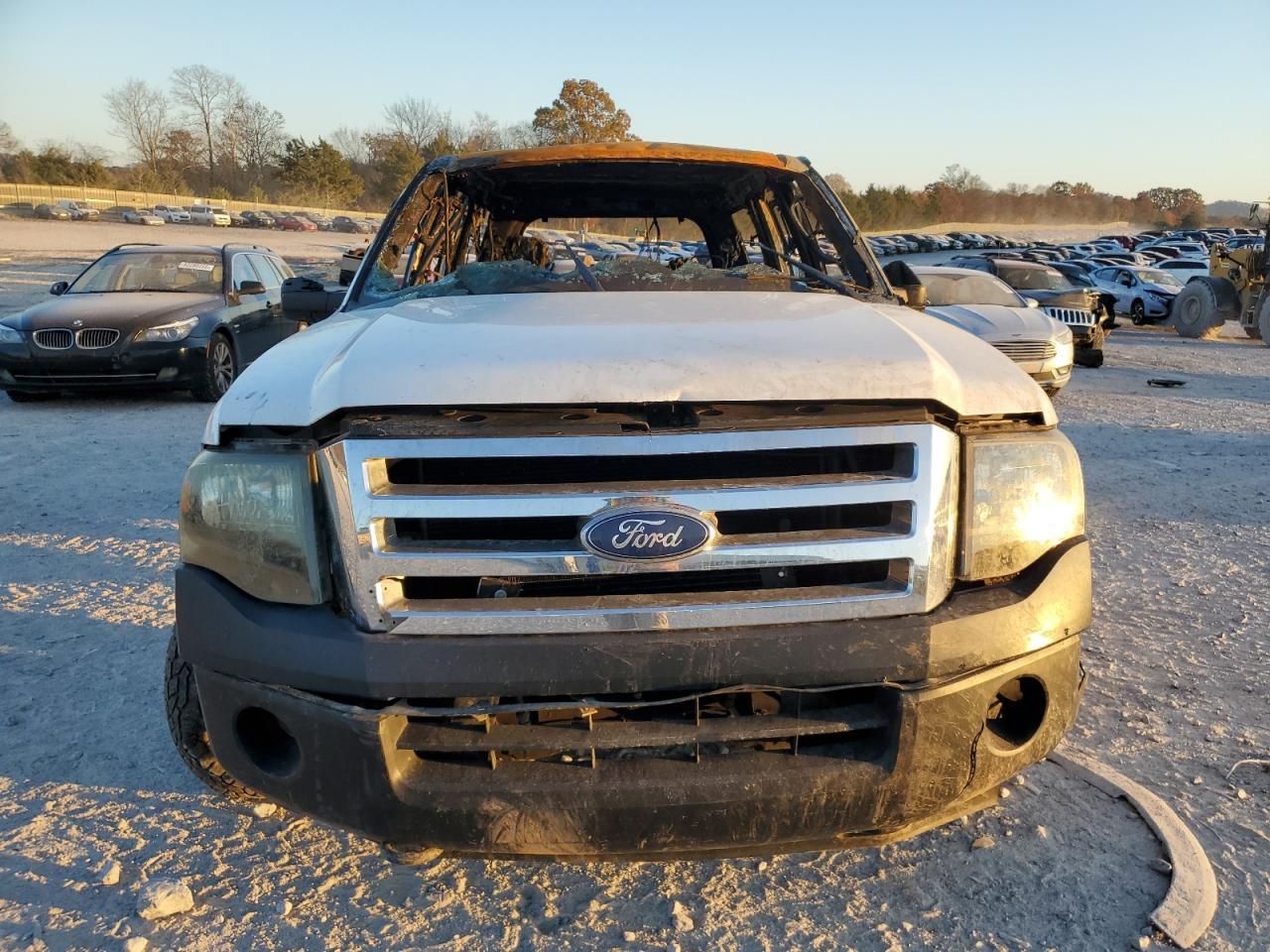 2010 FORD Expedition